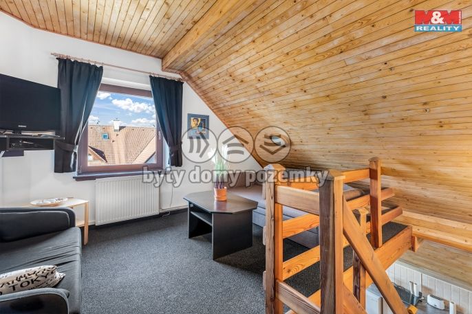 Prodej, Hotel, penzion, Harrachov