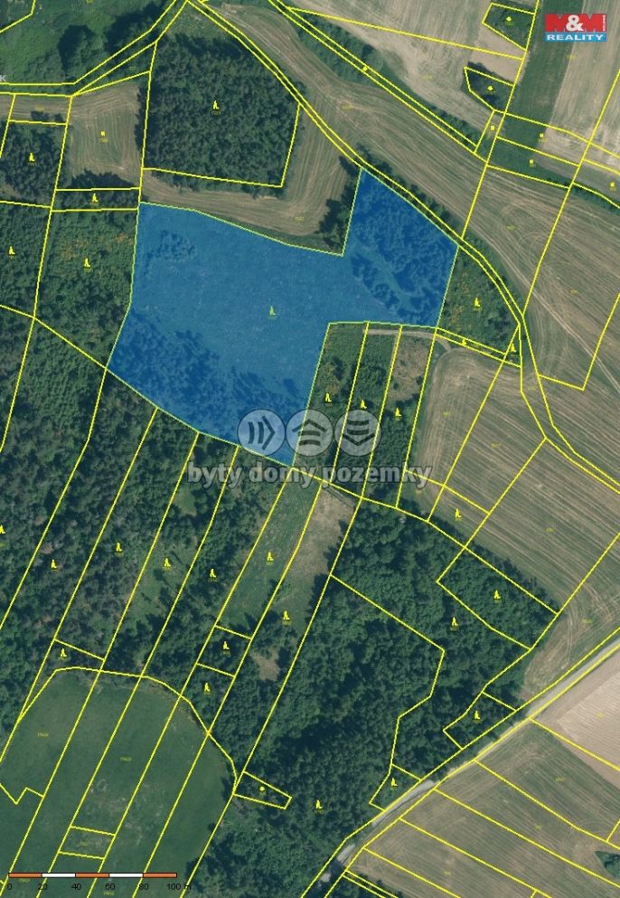 Prodej, Les, Malý Bor