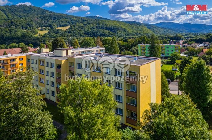Prodej, Byt 3+1, Raškovice