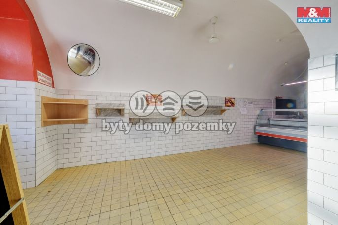 Pronájem, Obchod a služby, Planá