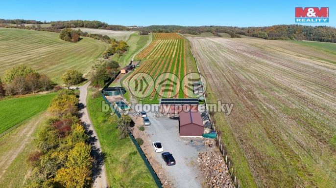 Prodej, Ovocný sad, Fulnek