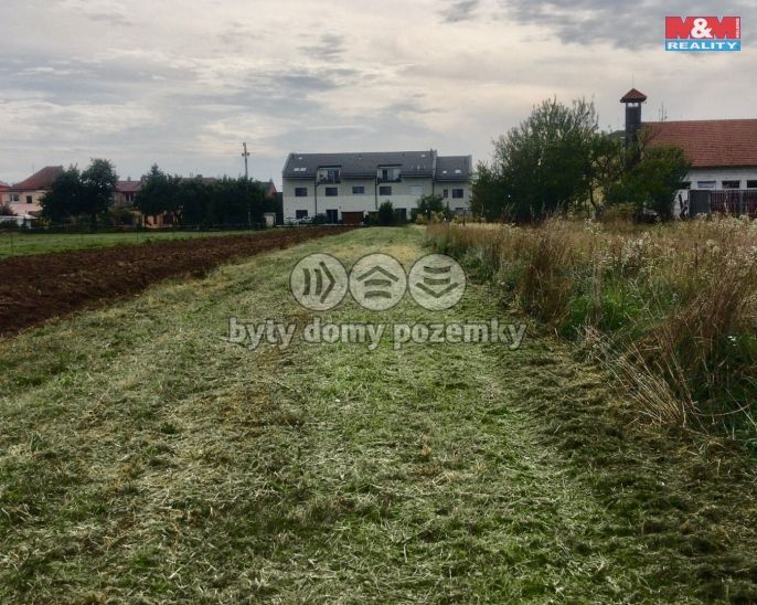 Prodej, Pole, Přísnotice