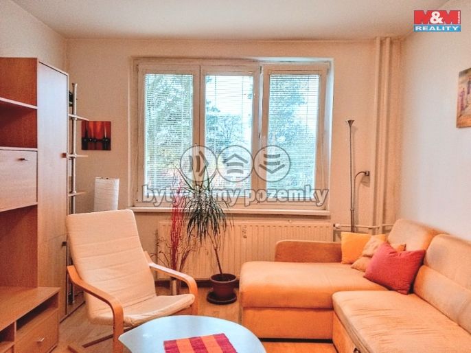 Pronájem, Byt 1+1, Ostrov