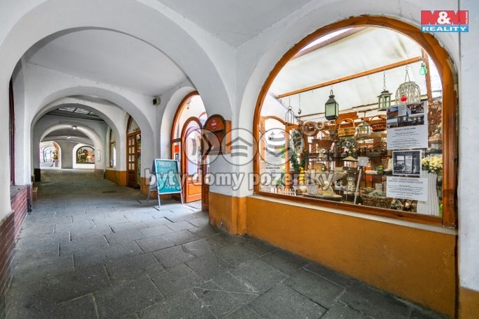 Pronájem, Obchod a služby, Domažlice