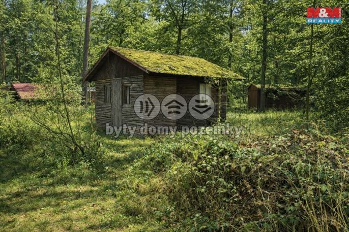 Prodej, Chata, Loučeň