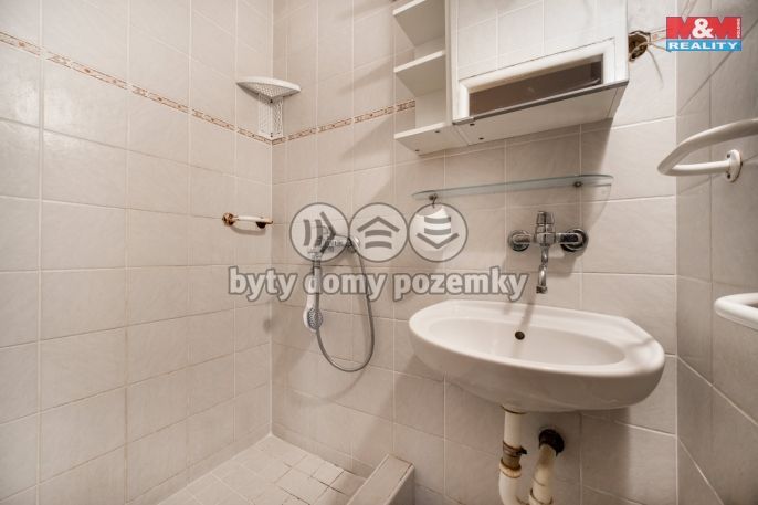 Pronájem, Zemědělská usedlost, Čistá