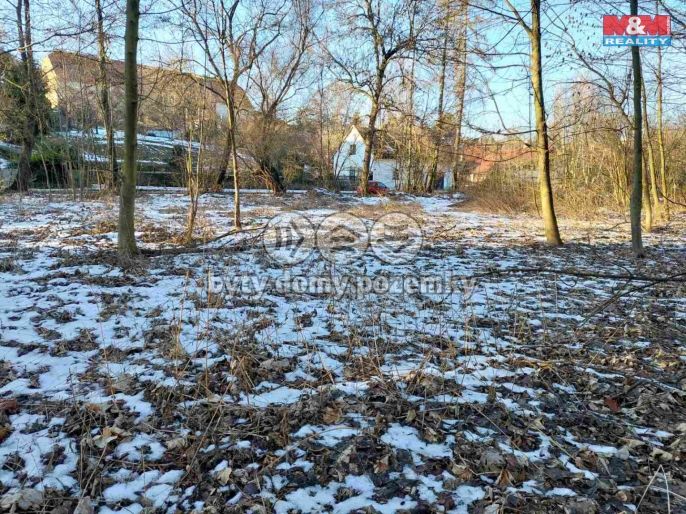 Prodej, Zahrada, Kořenice