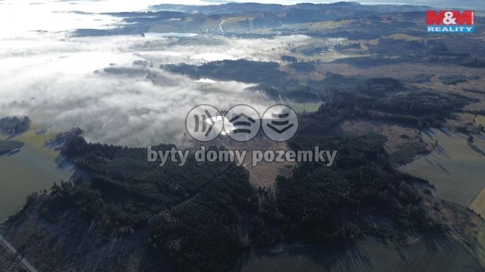 Prodej, Les, Bohdalov