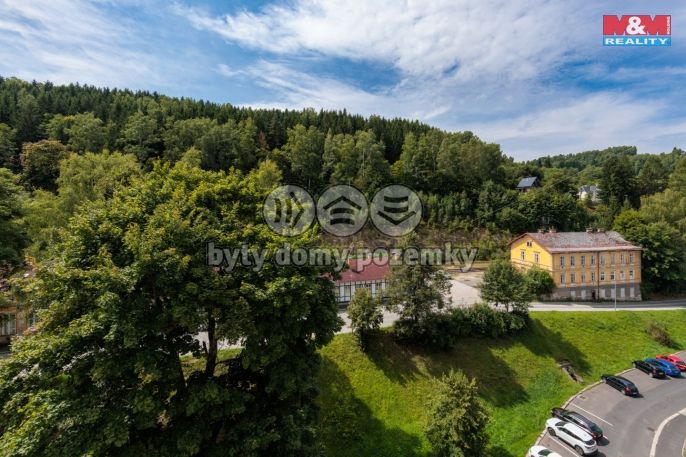 Prodej, Byt 1+1, Kraslice