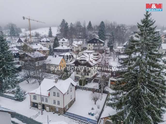 Prodej, Hotel, penzion, Železná Ruda