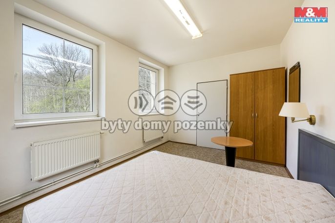 Prodej, Hotel, penzion, Petrovice