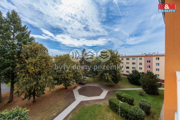 Prodej, Byt 2+1, Nová Role