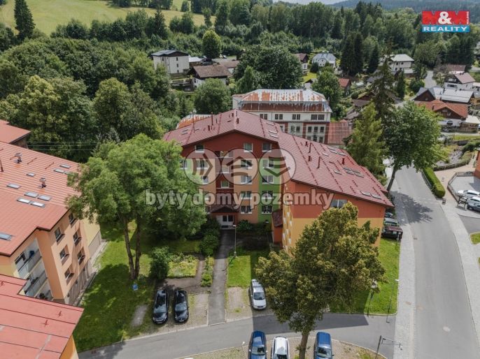 Prodej, Byt 3+1, Železná Ruda