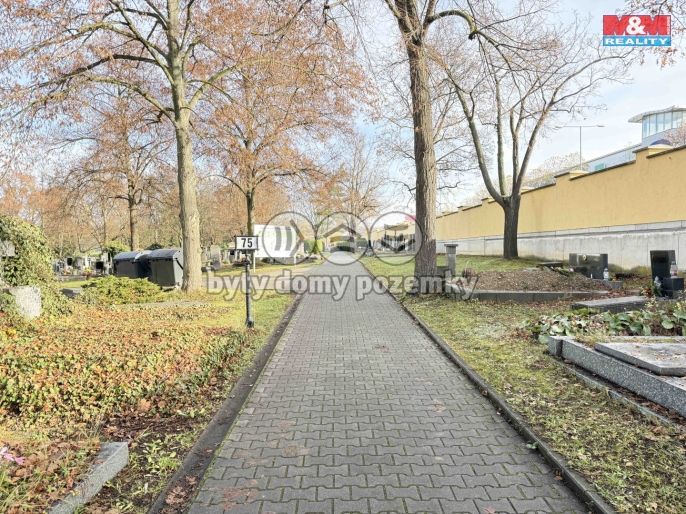 Prodej, Ostatní, Plzeň