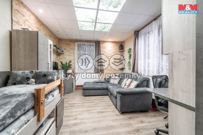 Prodej, Obchodní objekt, Bechyně