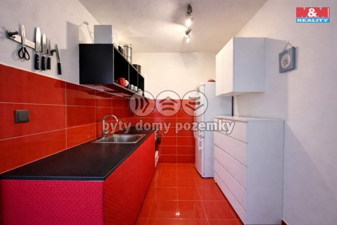 Pronájem, Byt 1+kk, Brandýs nad Labem-Stará Boleslav