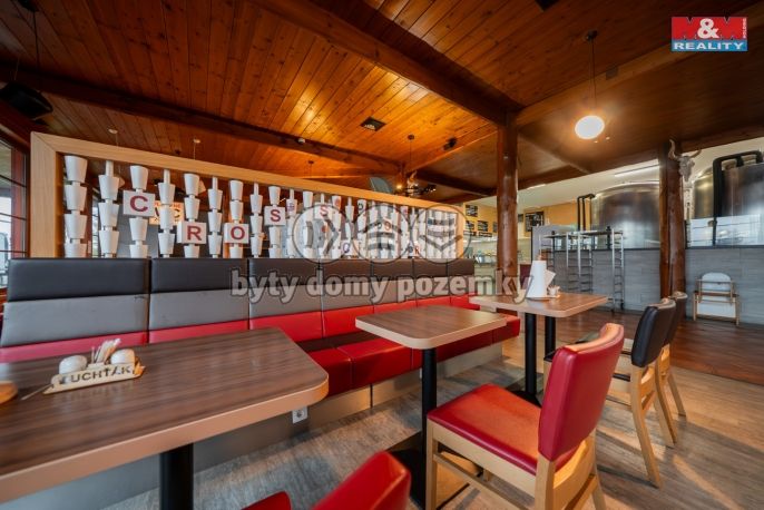 Pronájem, Restaurace, stravování, Olomouc