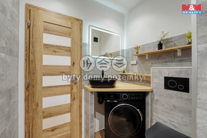 Prodej, Byt 1+kk, Horní Bříza