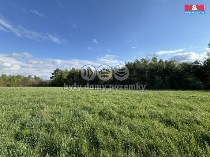 Prodej, Komerční pozemky, Homole