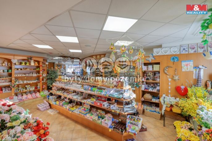 Pronájem, Obchod a služby, Železná Ruda