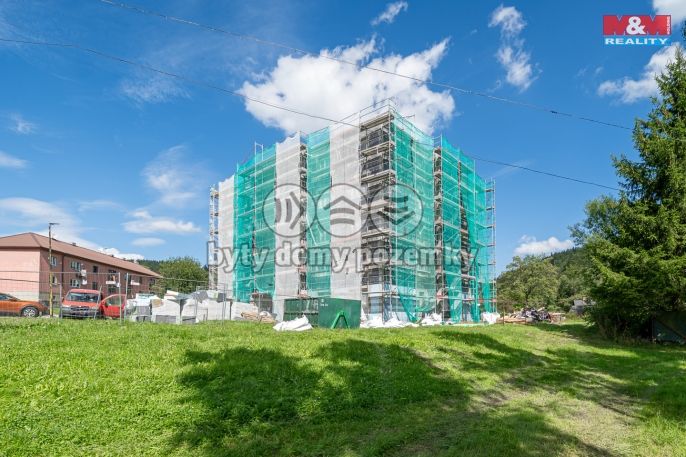 Prodej, Byt 2+1, Červená Voda