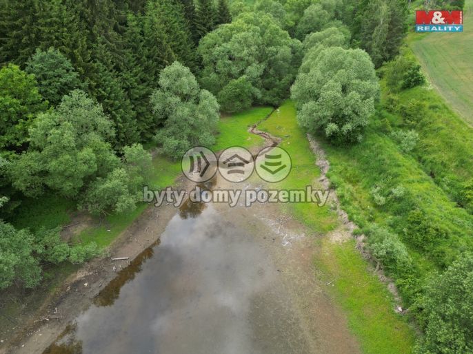 Prodej, Vodní plocha, Vílanec