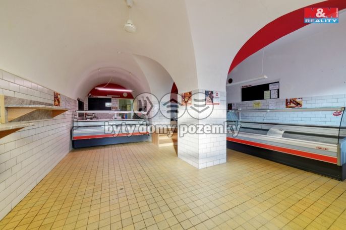 Pronájem, Obchod a služby, Planá