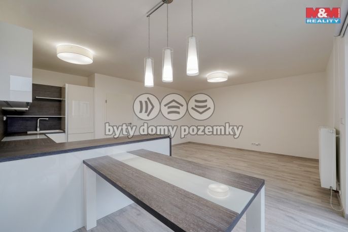 Pronájem, Rodinný dům, Plzeň