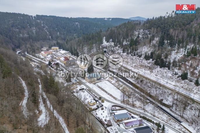 Prodej, Rodinný dům, Planá