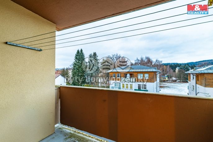 Prodej, Byt 1+1, Mariánské Lázně