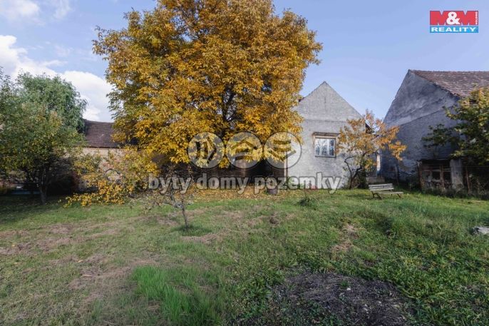 Prodej, Rodinný dům, Křenice