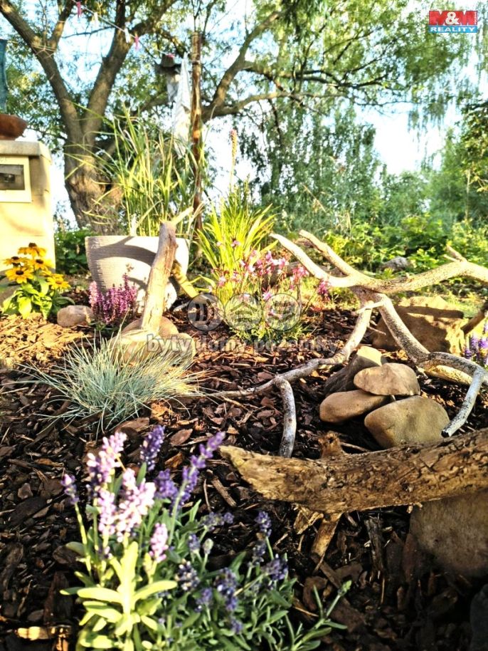 Prodej, Chata, Rokle