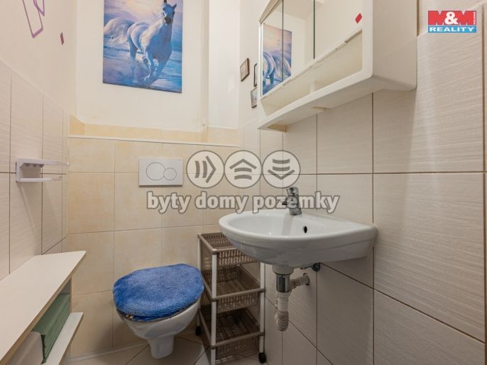 Prodej, Byt 3+1, Řehenice