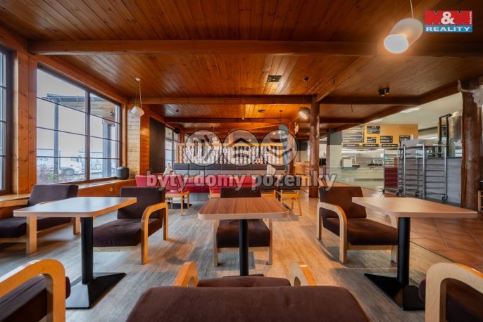 Prodej, Restaurace, stravování, Olomouc