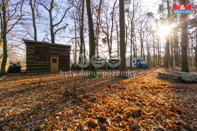 Prodej, Chata, Týniště nad Orlicí