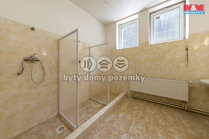 Prodej, Hotel, penzion, Petrovice