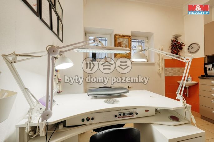 Pronájem, Obchod a služby, Plzeň