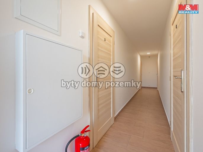 Pronájem, Ostatní, Divišov