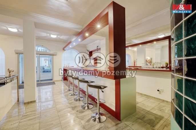 Pronájem, Obchod a služby, Plzeň