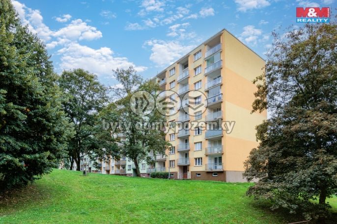 Prodej, Byt 1+1, Sokolov
