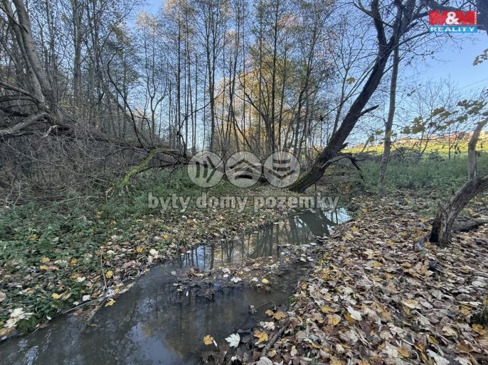 Prodej, Les, Velká Polom