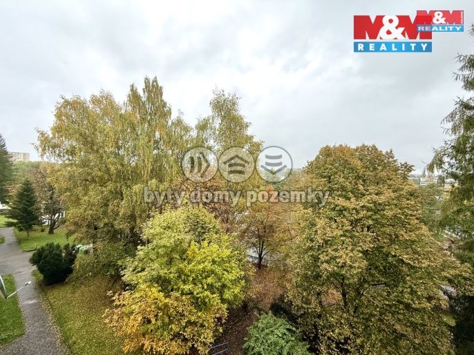 Pronájem, Byt 1+1, Havířov