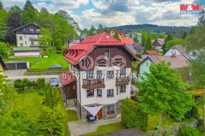 Prodej, Hotel, penzion, Železná Ruda