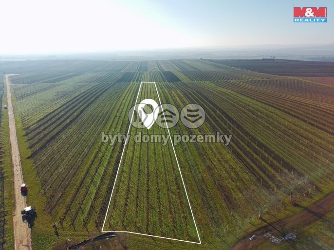 Prodej, Vinice, Velké Bílovice