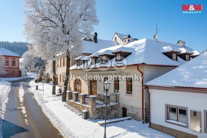 Prodej, Hotel, penzion, Přídolí