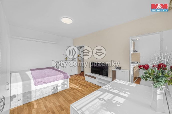 Prodej, Byt 1+1, 26 m², Praha, Českolipská