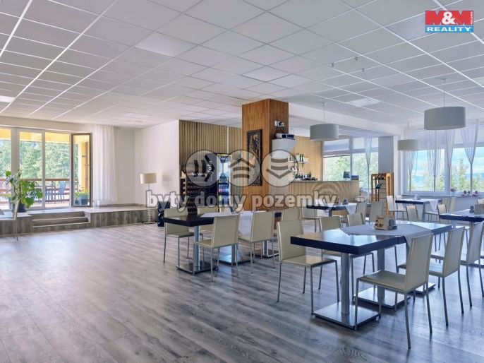 Prodej, Hotel, penzion, Valašské Klobouky