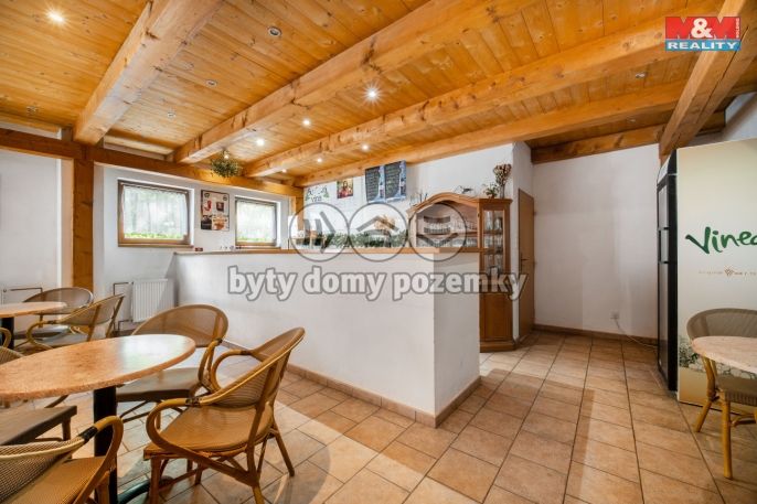 Prodej, Restaurace, stravování, Ústí nad Orlicí