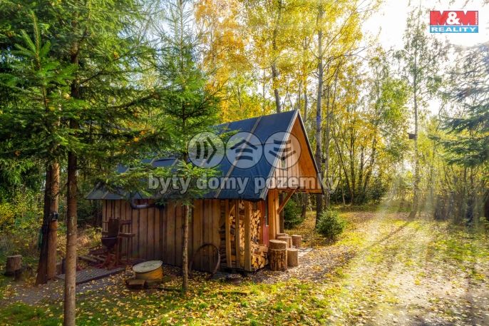 Pronájem, Louka, Vysočina