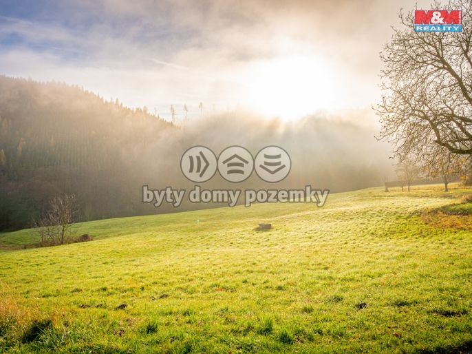 Prodej, Chalupa, Mohelnice